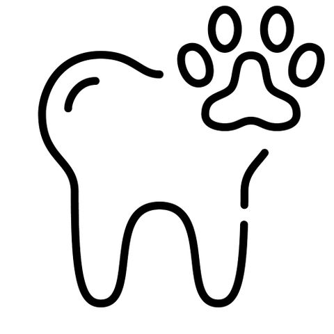 Veterinary Dentist