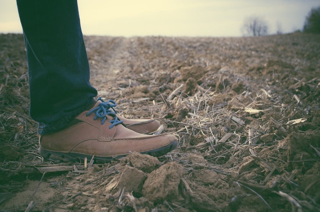 Soil Science
