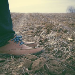 Soil Science