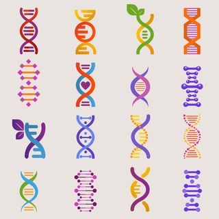 Genetics