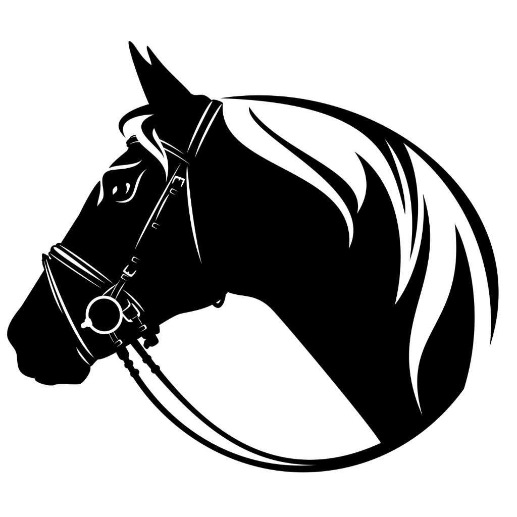 Hippotherapy Clinical Specialist