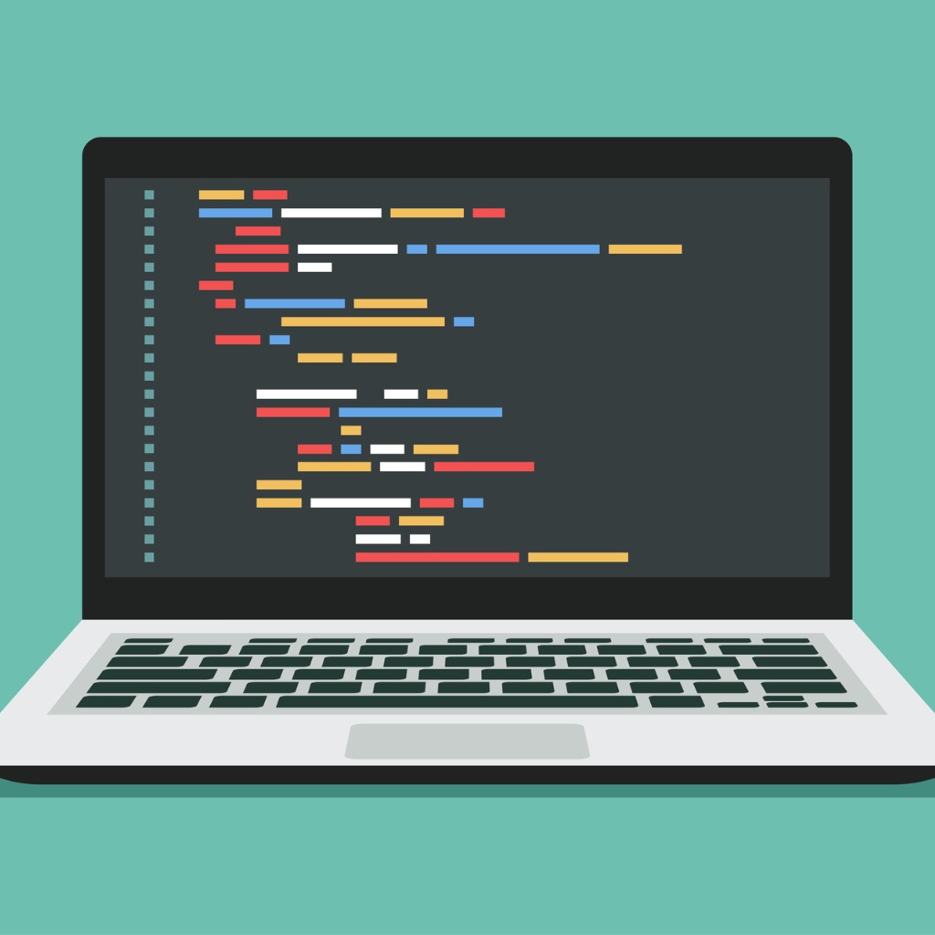 Software Developer