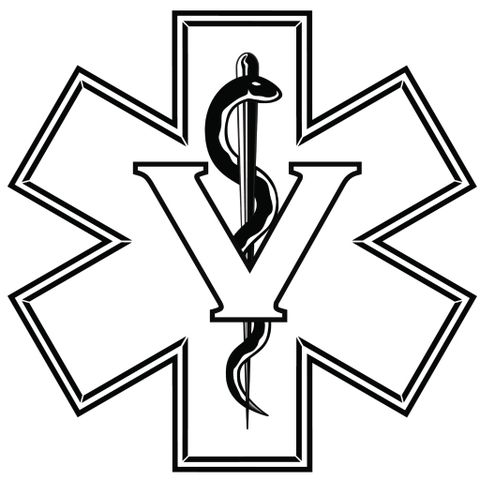 Wildlife Veterinarian