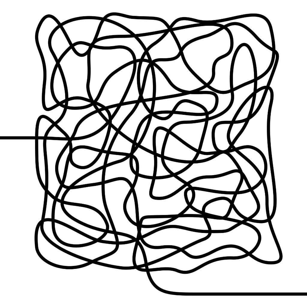 Chronic Disorganization Specialist