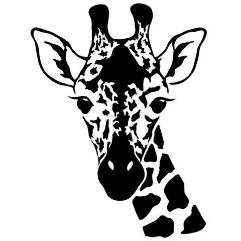 Zoologist