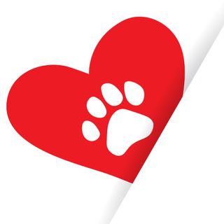 Veterinary Technology