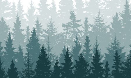 Forest and Conservation Worker