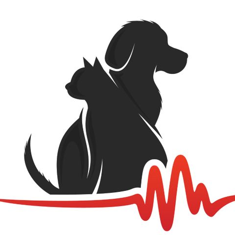 Veterinary Cardiologist