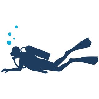 image for Scuba Diving Instructor
