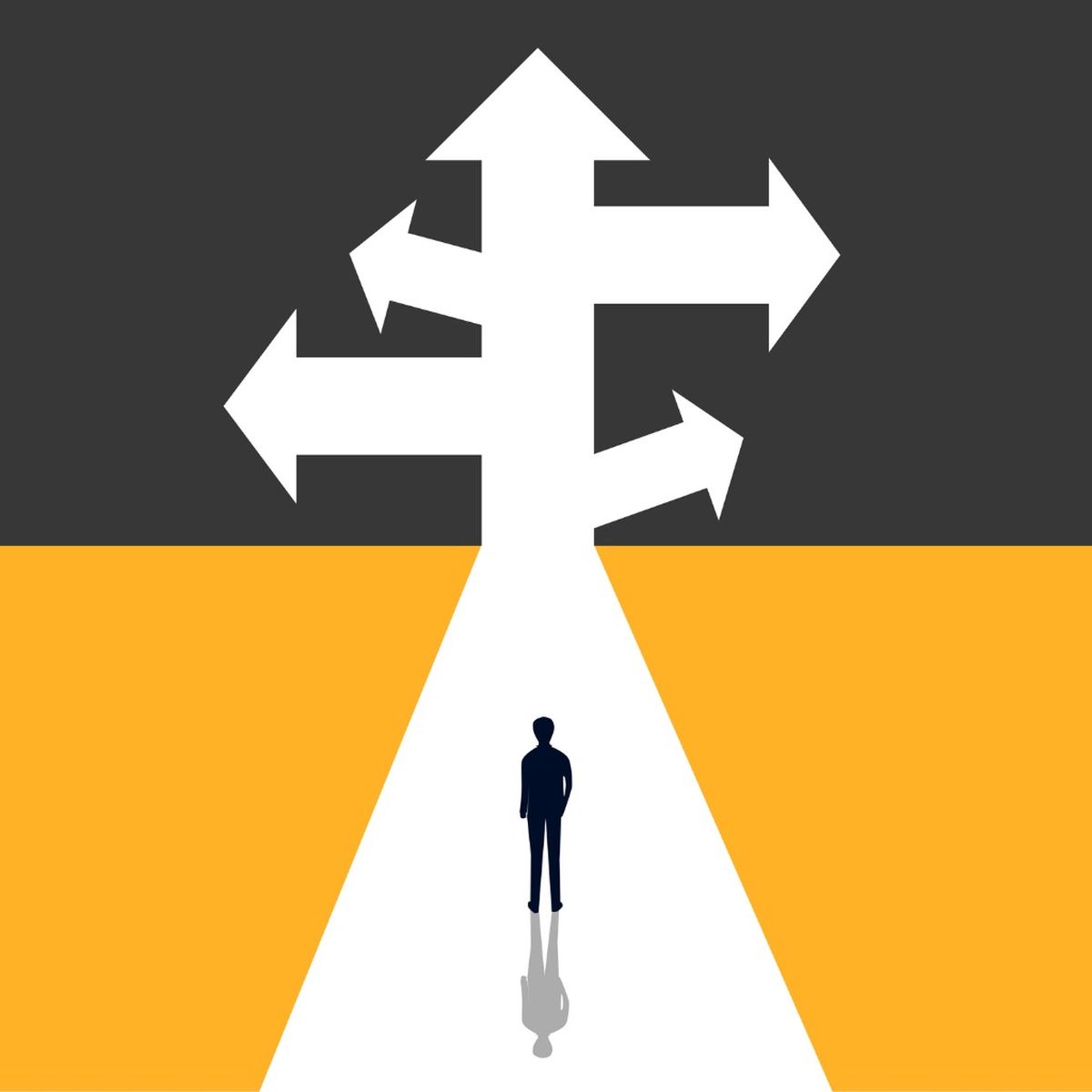 Degrees, Careers, and the Anxiety of Choosing banner image