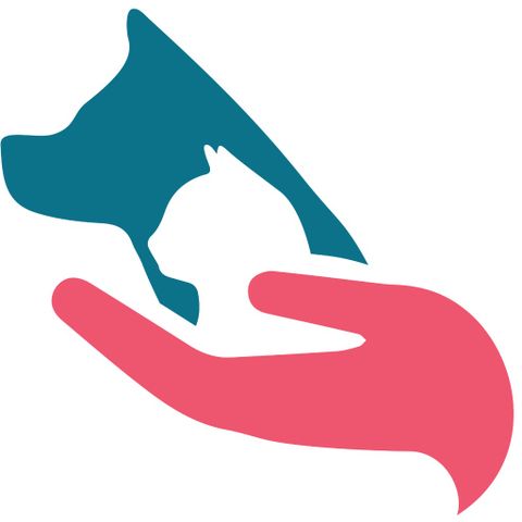 Veterinary Oncologist
