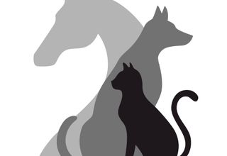 Animal-Assisted Therapist photograph