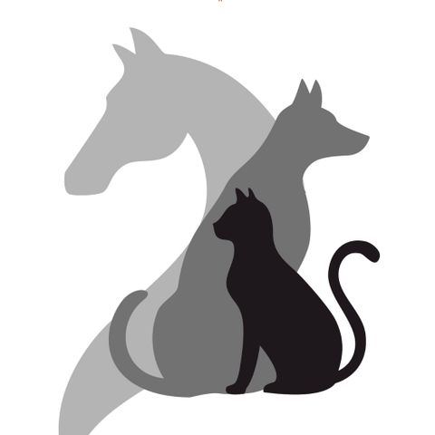 Animal-Assisted Therapist