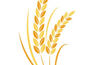 Certified Crop Advisor photograph