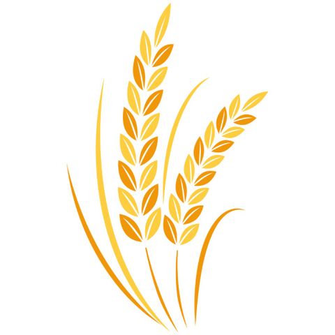 Certified Crop Advisor