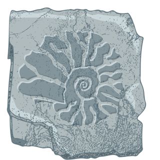 image for Archaeologist