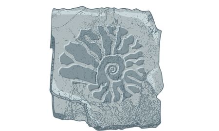 Archaeologist