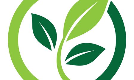 Environmental Consultant