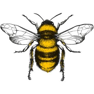 image for Beekeeper