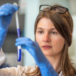 Microbiological Sciences and Immunology