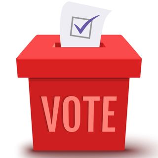 image for Political Campaign Manager