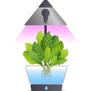 image for Hydroponic Farmer
