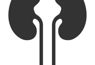 Urologist photograph