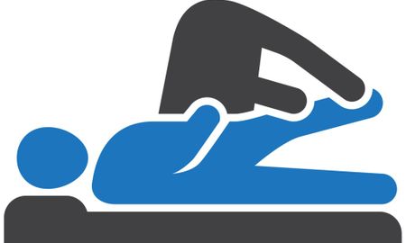 Physical Therapist