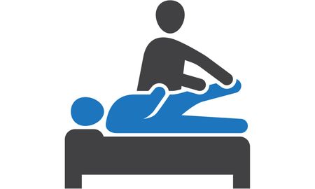 Physical Therapist
