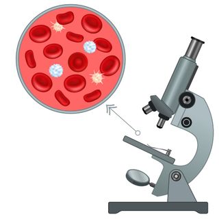 Cytotechnology