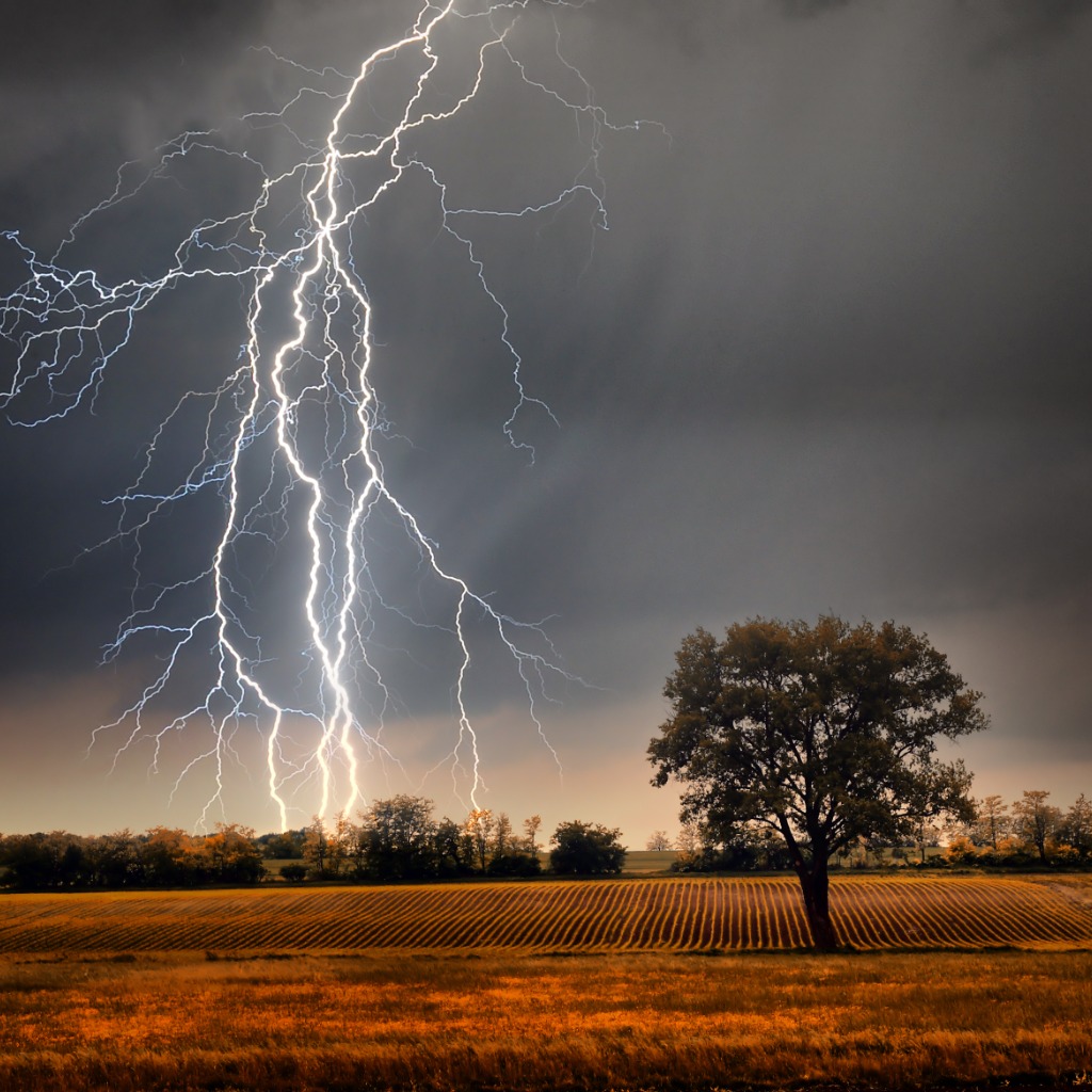 Meteorology and Related Studies