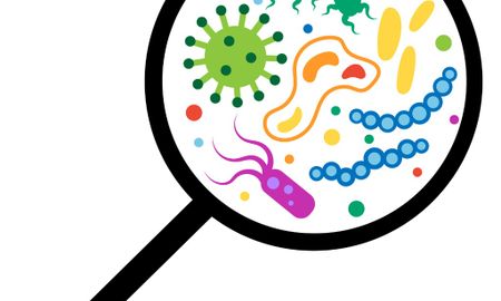 Microbiologist