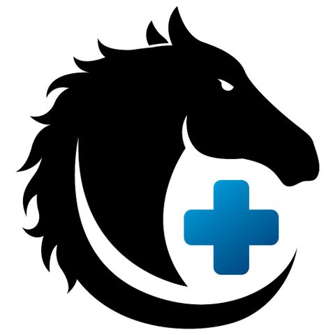 Equine Veterinarian