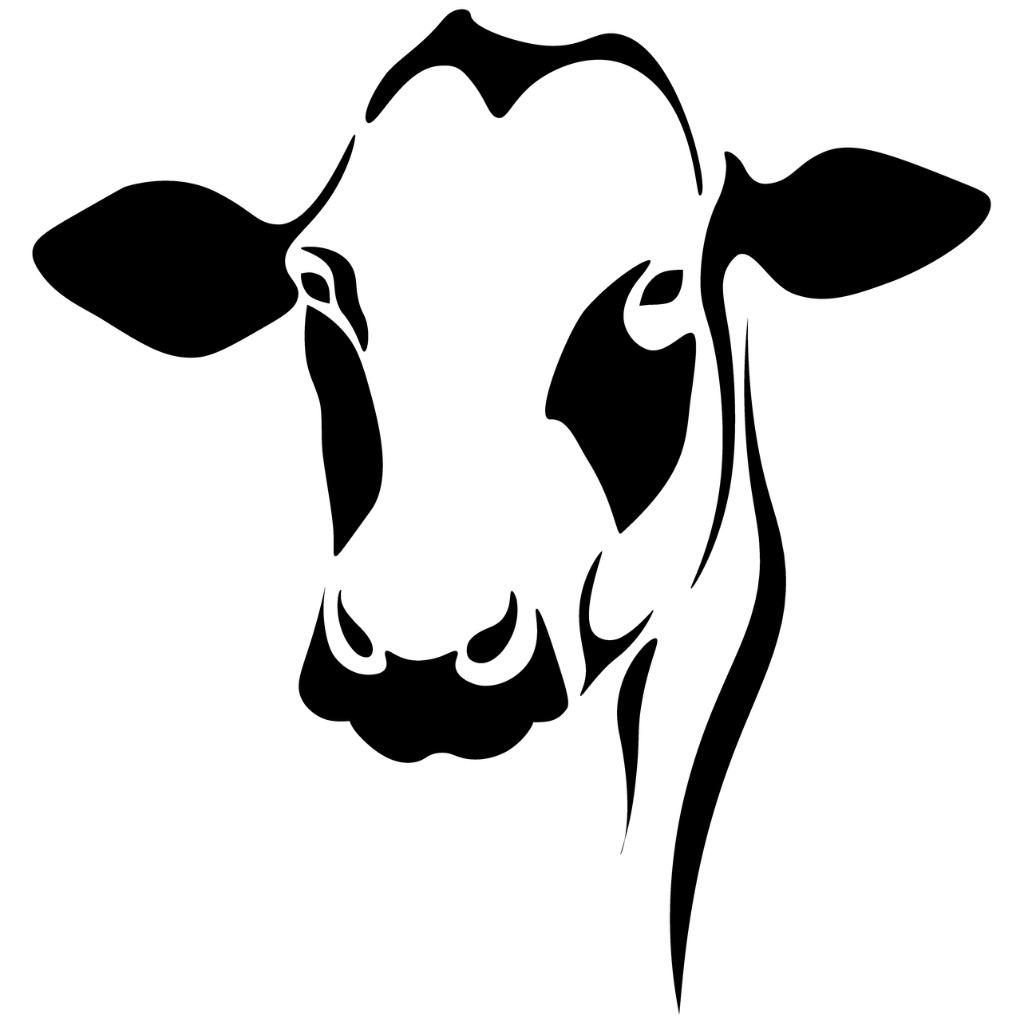 Dairy Farm Worker