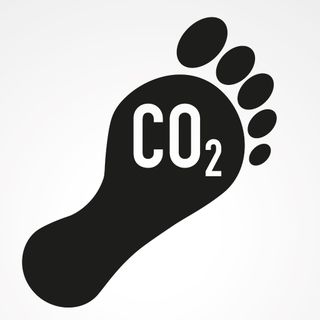 image for Carbon Analyst