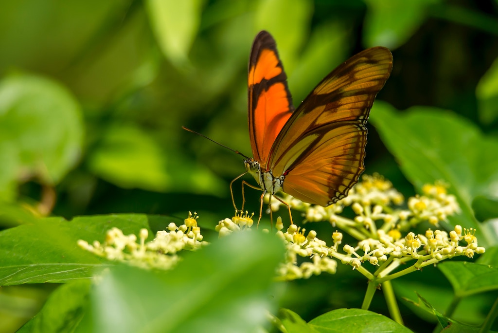 Natural Resource Conservation and Related Studies