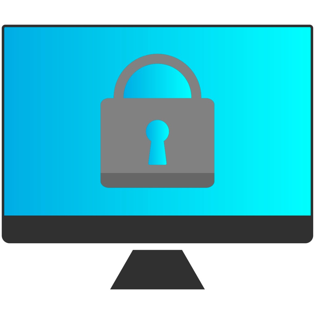Security Software Developer