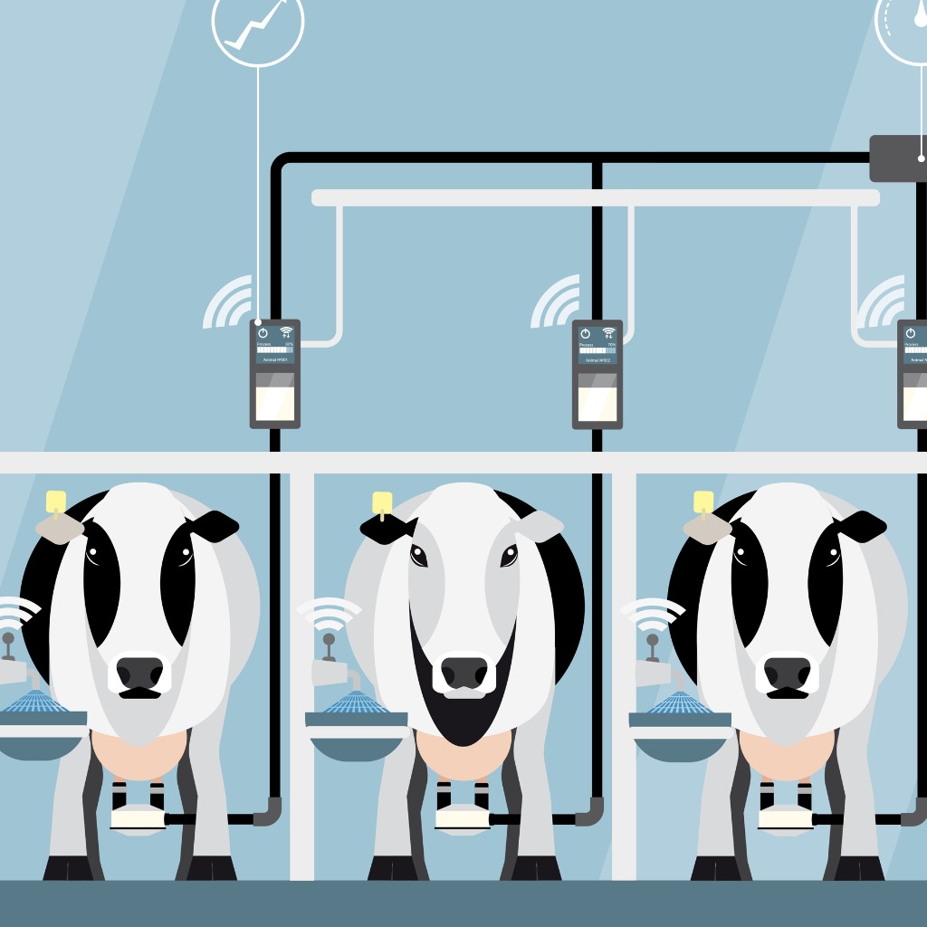Robotic Dairy Farmer