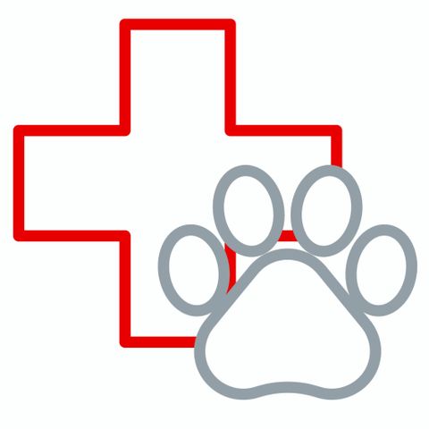 Emergency and Critical Care Veterinarian