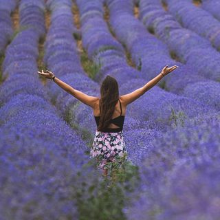 Alternative Medicine and Related Studies