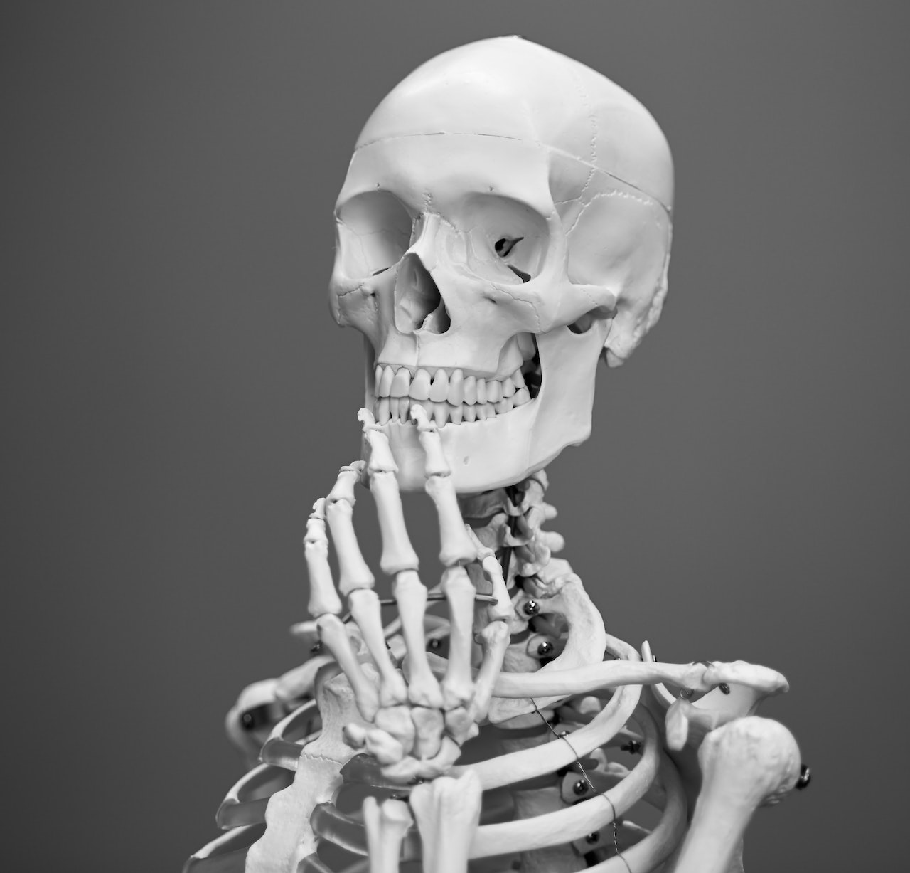 Anthropology