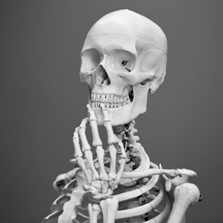 Anthropology