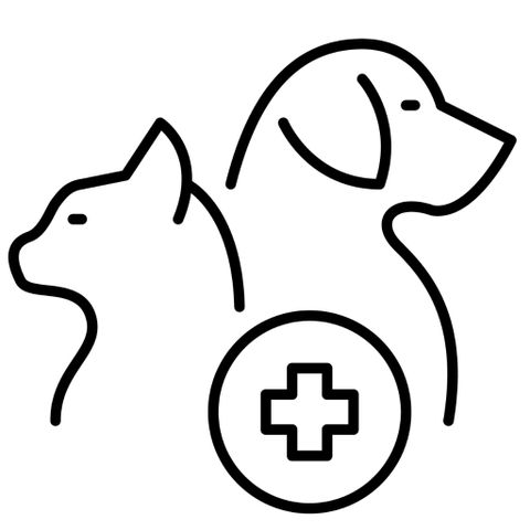 Veterinary Technologist