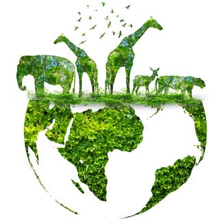 image for Animal Scientist