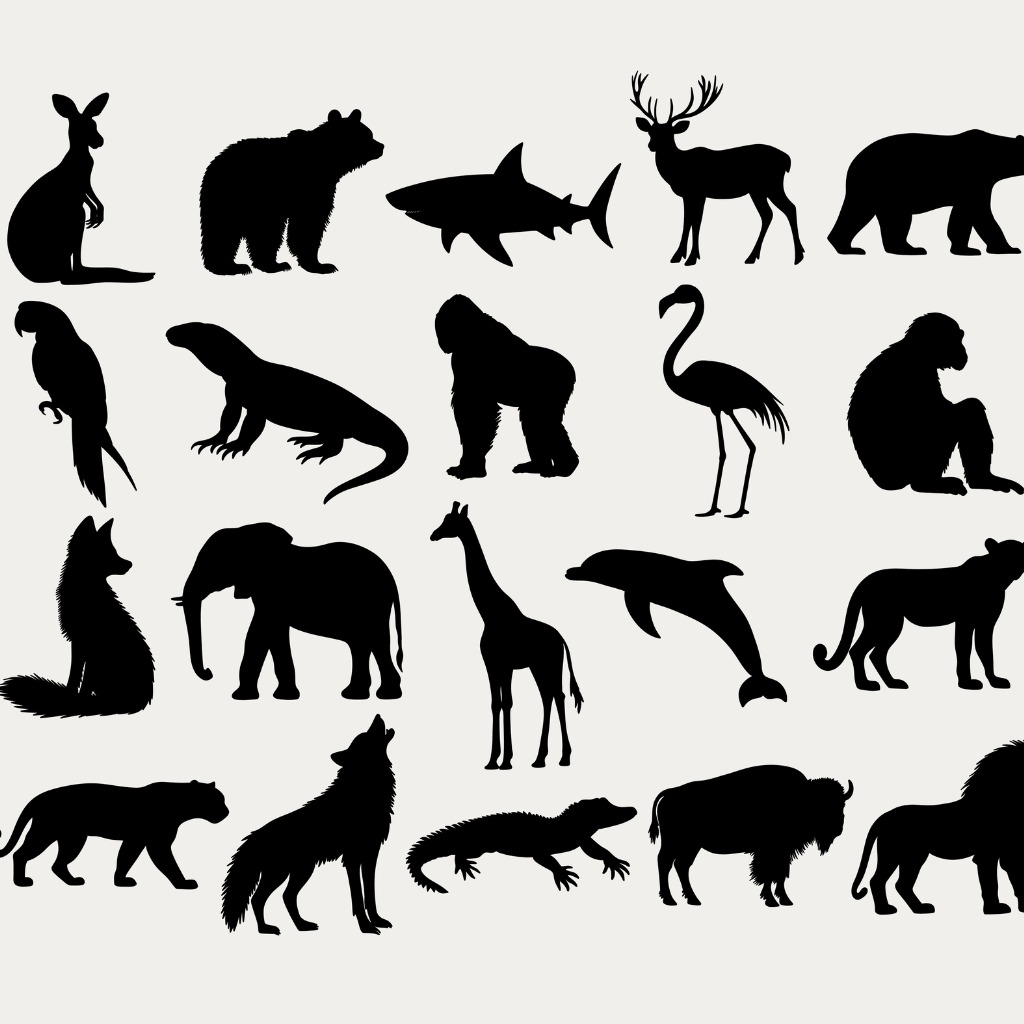 Wildlife Biology