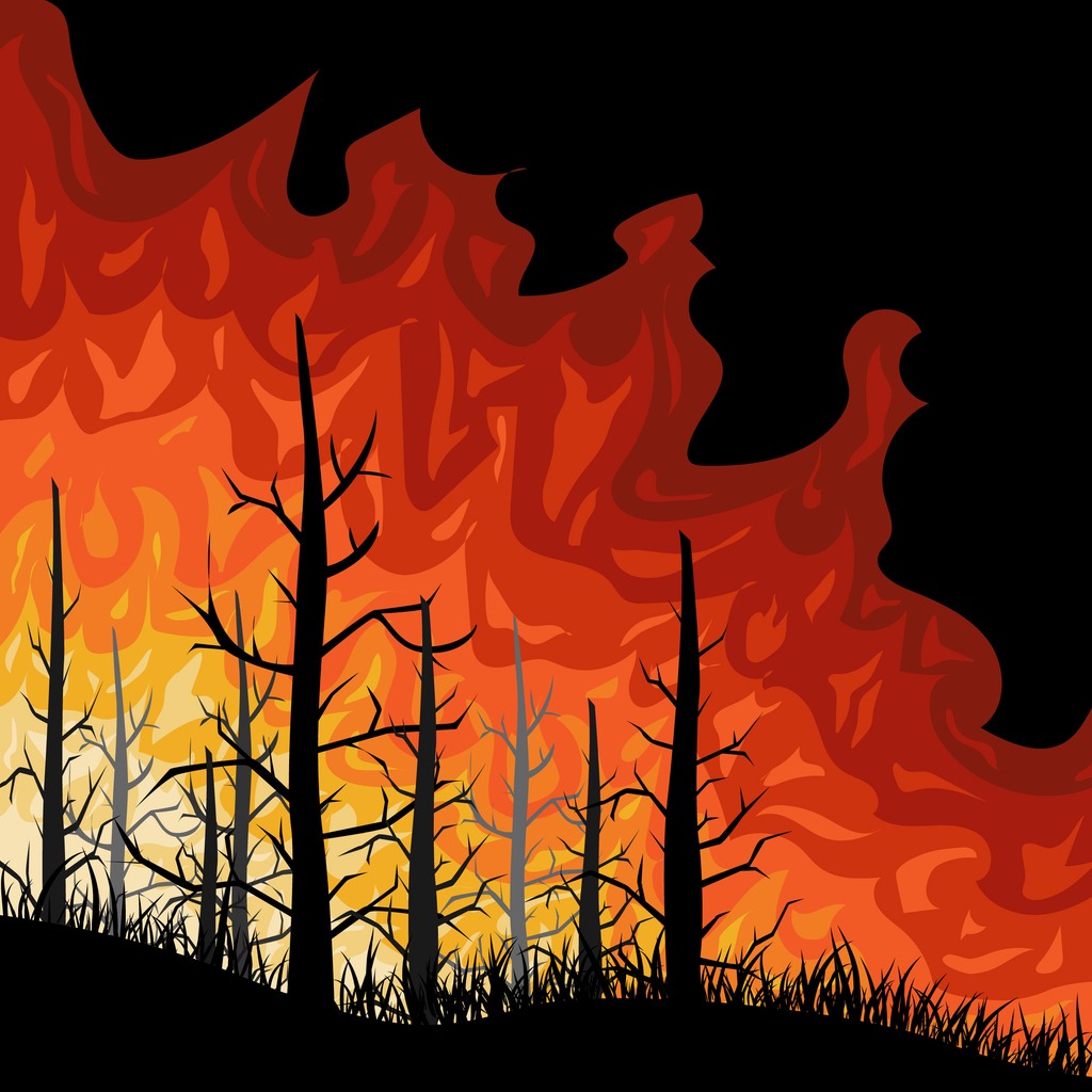 Wildland Firefighter
