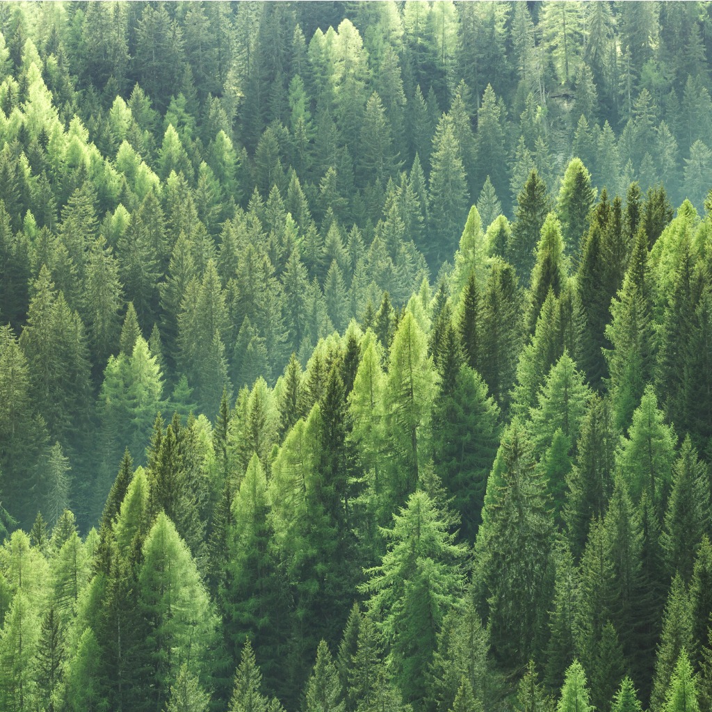 Natural Resource Studies
