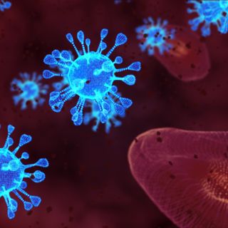 Cellular Biology