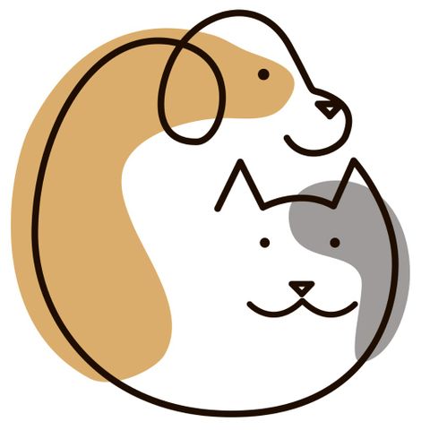 Small Animal Veterinarian