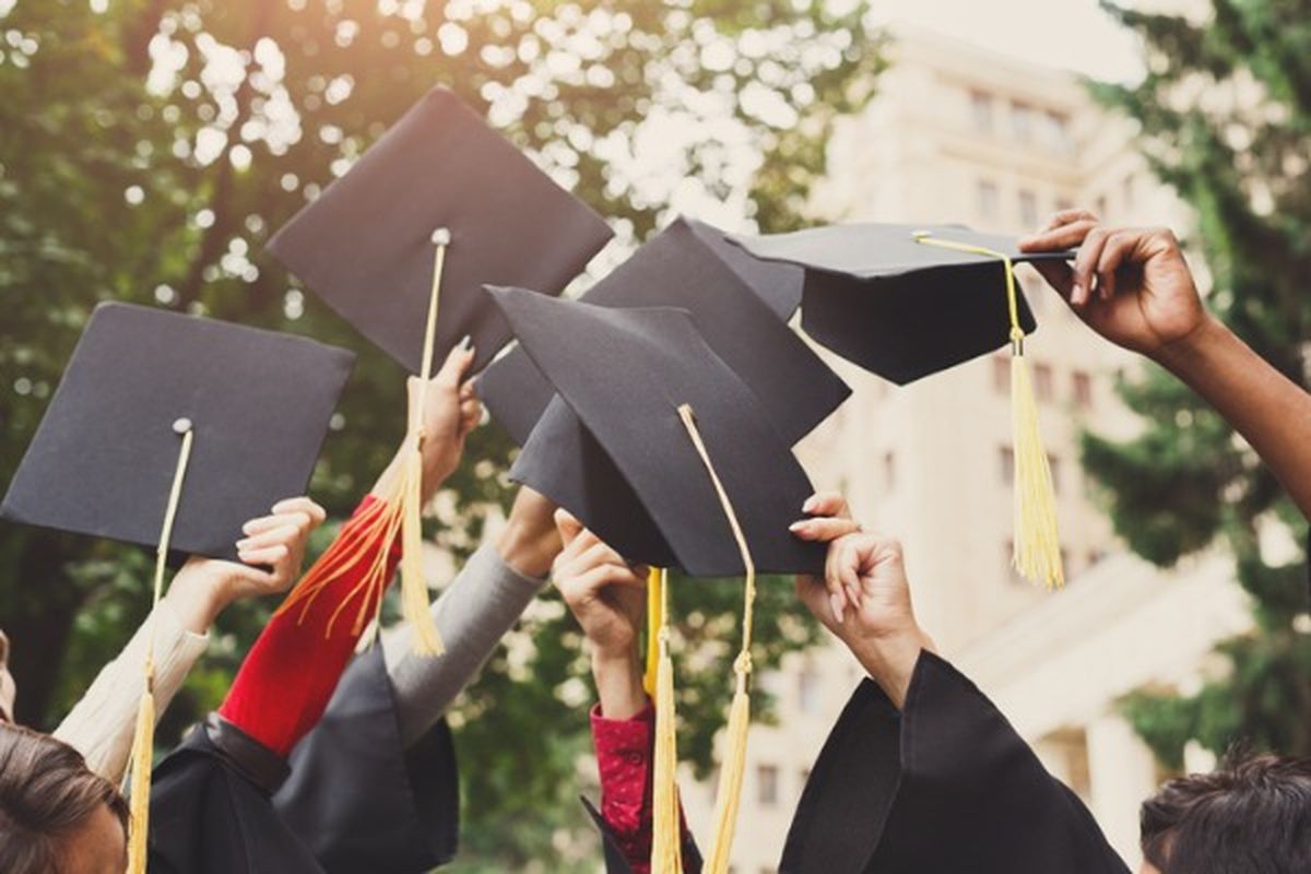 Bachelor's Degree - Everything You Need To Know banner image